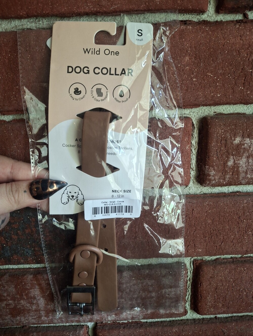 Wild One Brown Dog Collar - Small